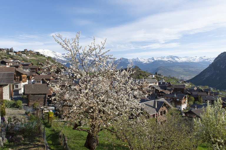 Vue depuis cabinet dentaire Vex